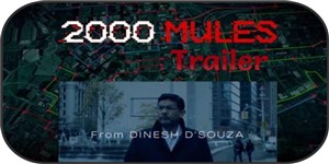 2000 Mules