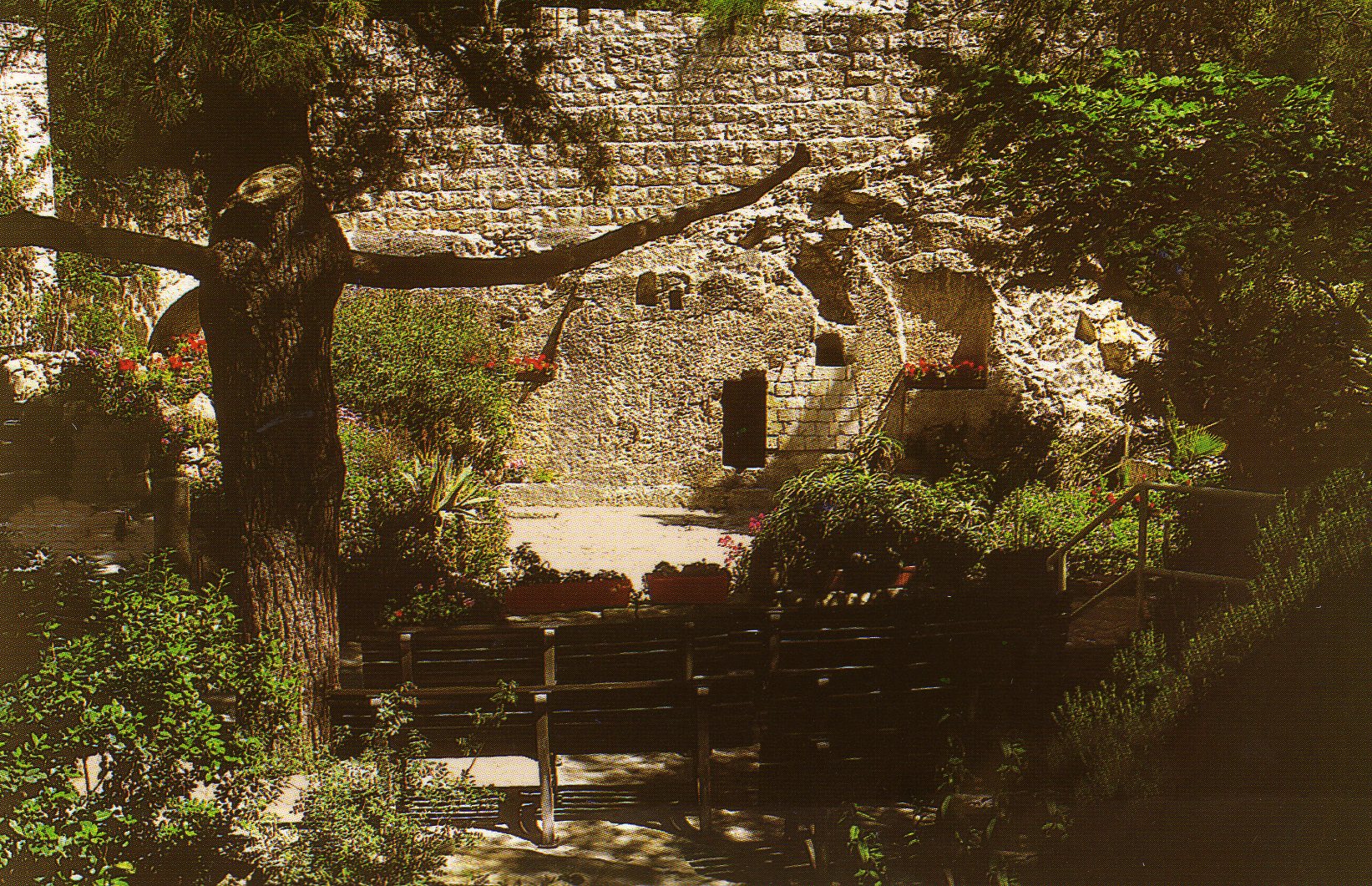 Cross Tree in Front of the Garden Tomb